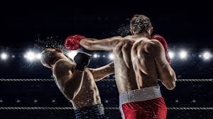 Boxing styles and technique