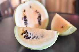 Image result for Citrullus lanatus