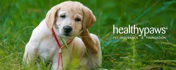 Healthy paws pet insurance, llc is a licensed producer in all states (tx license # 1636108); Healthy Paws Pet Insurance Helps Pet Lovers Reduce The Financial Cost Of Care