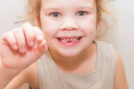 Baby teeth and teeth that are loose due to gum disease are easiest to extract. Should You Pull Your Child S Tooth Anchorage Pediatric Dentistry