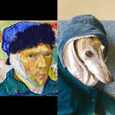 Sarah Hone (@sarah_hone)