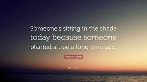 Warren Buffett Quote Someone S Sitting In The Shade Today Because Someone Planted A Tree A Long