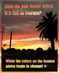 How Do You Know When Its Fall In Florida Florida Funny Florida Quotes Florida