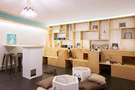 Meow Parlor Nyc S First Permanent Cat Cafe Opens Monday Untapped New York