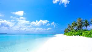 Find your next virtual background among zoom virtual backgrounds. Summer Zoom Background Images Fun Beach Virtual Meeting Backgrounds