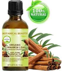 Organic Cinnamon Leaf Essential Oil Botanical Beauty Pure Products Cinnamon Leaf Oil Botanical Beauty