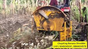 BANANA SHREDDER | Facebook