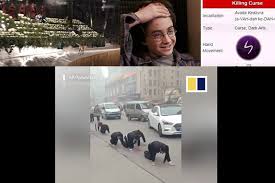 Trending In Tn Dog Steals The Ramp Walk A New Story To Harry Potter S Scar And Crawling Chinese Labourers Dtnext In One cast ejects a bright green beam. tn dog steals the ramp walk
