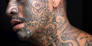 Ver más ideas sobre tatuajes, nicaragua, pajaro toh. Gangs Ditch Tattoos Go For College Look