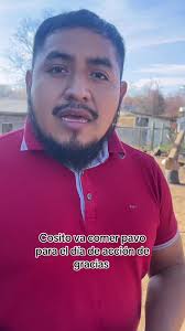 #pavos para el dia de accion de gracias