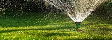 Additionally, when you purchase, all future updates to the guide are free. Summer Lawn Tips For Northern Cool Season Lawns