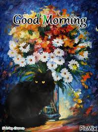 Good Morning Cat Gif Pictures Photos And Images For Facebook Tumblr Pinterest And Twitter