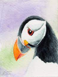 Puffin Papageientaucher Tiergemalde Malvorlagen Tiere Bemalte Vogel