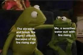 Your tendency is to marry late in life, and to. Cancer Sun Capricorn Moon Leo Rising Astrologymemes