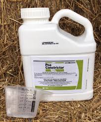 How to get rid of poa annua. Poa Constrictor Stone Brothers
