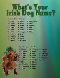 Here are the 500 most popular female dog names, unique choices if you're looking for the perfect name for your new dog. Funny Corgi Names Shefalitayal