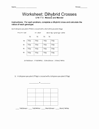Dihybrid crosses in guinnea pigs these type of crosses can be challenging to set up, and the square you create will be 4x4. Dihybrid Cross Worksheet Answers Awesome 15 Best Of Dihybrid Cross Worksheet Answers Chess Dihybrid Cross Worksheet Dihybrid Cross Persuasive Writing Prompts