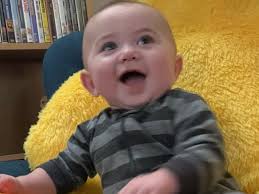 Fundraiser by Jamie Tracey : Kaullus Bjornen Kent--6 Months