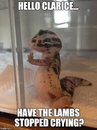 Image Result For Lizard Meme Cute Lizard Cute Reptiles Cute Baby Animals