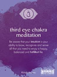 Do You Listen To And Follow Your Intuition Listen To This Full Guided Meditation For The Third Eye Chakra Chakra Chakra Meditation Chakra Guided Meditation
