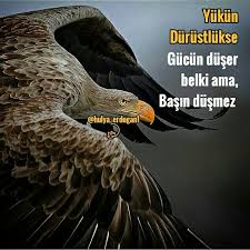 Hulya Erdogan Adli Kullanicinin Hulyaerdogan1 Panosundaki Pin Resimler Guzel Soz Ozlu Sozler