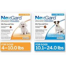 Nexgard is designed to treat and prevent flea infestations, and treat and control the american dog tick in dogs and puppies 8 weeks of age and older. Nexgard Anti Tick And Fleas Chewables Shopee Philippines