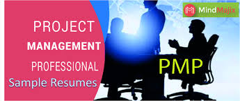 Writing tips, suggestions and more. Pmp Sample Resume Best Pmp Project Manager Resume Samples By Kimberly Ruth Medium
