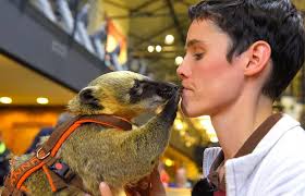 Sheriff Calls Out NY Bail Reform After Tragic Animal Cruelty Case