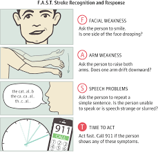 Stroke in cats can happen even if it is. Brain Stroke Is Treatable A Guide To Treatment Recovery Medipulse Best Multispeciality Emergency Private Hospital In Jodhpur