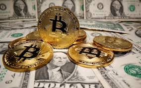 I have seen bitcoin go up 10x, 20x, 30x in a year. Q4uier4codgowm