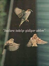 Guzel Sozler Anlamli Sozler Sair Sozleri 2020 Guzel Soz Islam Asik