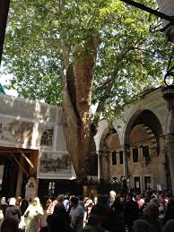 He was named after the biblical job. The Sahaba Of Istanbul 1 Abu Ayyub Al Ansari Islamicana