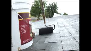 Check spelling or type a new query. Ludwig Painting Asphalt Roof Paint Behr Product Gauranteed Youtube
