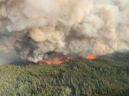 The fire grew from 10 to 676 hectares in about three days, and wildfire information officer travis there were 989 total wildfires last year. Rain Could Bring Relief As Crews Battle Wildfires In Alberta 660 News