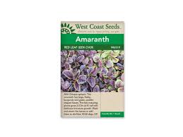 Check spelling or type a new query. Amaranth Red Leaf West Coast Blue Grass Nursery Sod Garden Centres