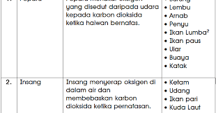 Penyuikan pausbuayakucingcontoh haiwan bernafas melalui insang: Organ Pernafasan Haiwan