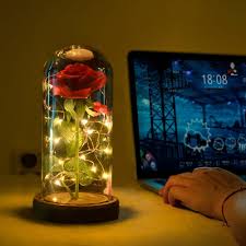 Beauty And The Beast Light Up Rose Rose In A Glass Glass Domes Flower Lamp