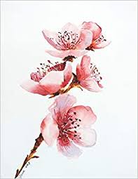 Gladiolus is a flowering plant which produces bright, colorful flowers. Sketchbook Perfect For Sketching Drawing And Painting Soft Gentle Pink Red Flowers Beautiful Handmade Watercolor Portrait Cover Artistic Blank Sketchbook With Watercolor Art Design Art Notebooks