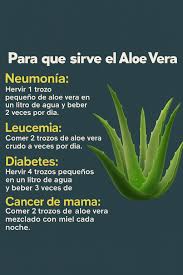 El Aloe vera aporta grandes beneficios a nuestro organismo, te recomendamos agregarlo a tu dieta. #DíaMundialDeLaSalud