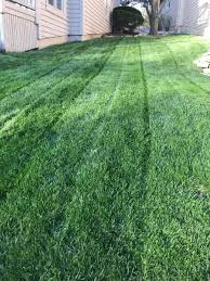 Affordable lawn mowing services near me. Lawn Care Photos The Proof Is In The Pictures Best Lawn Care Service