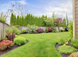 But do you want it in your yard? Lawn Care Advice The 18 Best Things You Can Do For Your Lawn Bob Vila