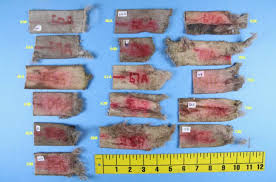 May 1, 2013 aviation, aviation safety / air crashes, military aviation. Was The Bagram Airfield Plane Crash Of 2013 An Act Of Terrorism