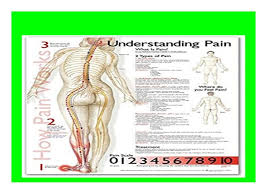 Read_e Book Understanding Pain Anatomical Chart Book