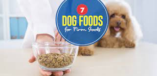 Top 7 Best Dog Food For Firm Stools Brands In 2019
