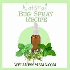 Homemade Bug Spray Recipes That Work Wellness Mama