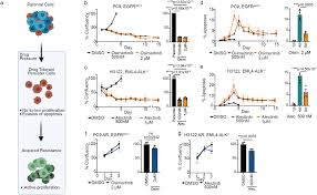 Focal adhesion kinase-YAP signaling axis drives drug-tolerant persister  cells and residual disease in lung cancer | Nature Communications