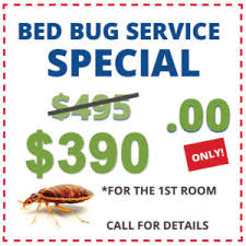 At dynamic pest control, we seek to offer you. About Us Action Termite And Pest Control Nj