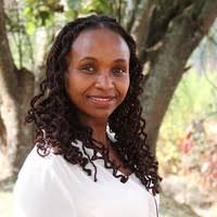 PDF) DEVELOPMENT AND DELIVERY OF BEAN VARIETIES IN AFRICA: THE PAN- AFRICA  BEAN RESEARCH ALLIANCE (PABRA) MODEL