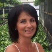 Search Donna Lilly Obituaries and Funeral Services