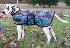 Actually her family was pretty supportive of it. Camo Dog Blanket